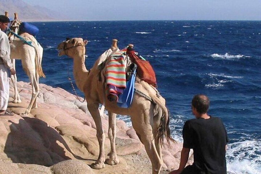 Sharm El Sheikh Top Things To Do In 3 Day