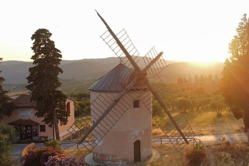 Leonardo Da Vinci's wind mill visit and Organic olive oil tasting