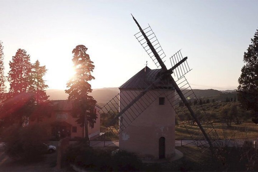 Leonardo Da Vinci's wind mill visit and Organic olive oil tasting