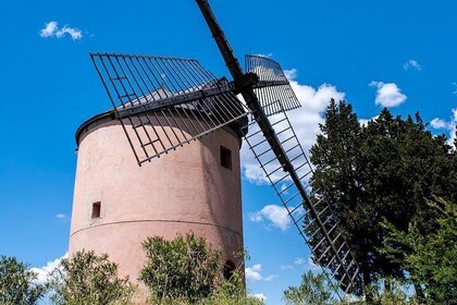 Leonardo Da Vinci's wind mill visit and Organic olive oil tasting