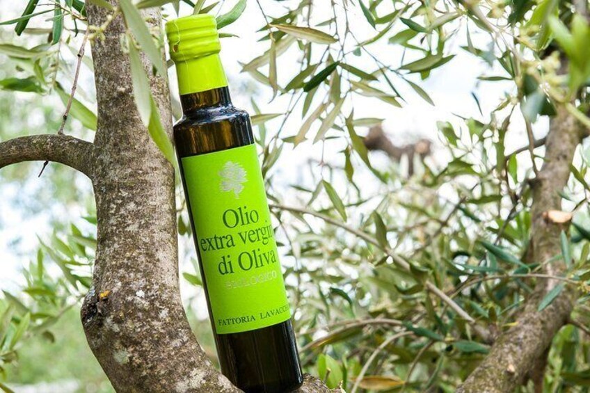 Leonardo Da Vinci's wind mill visit and Organic olive oil tasting