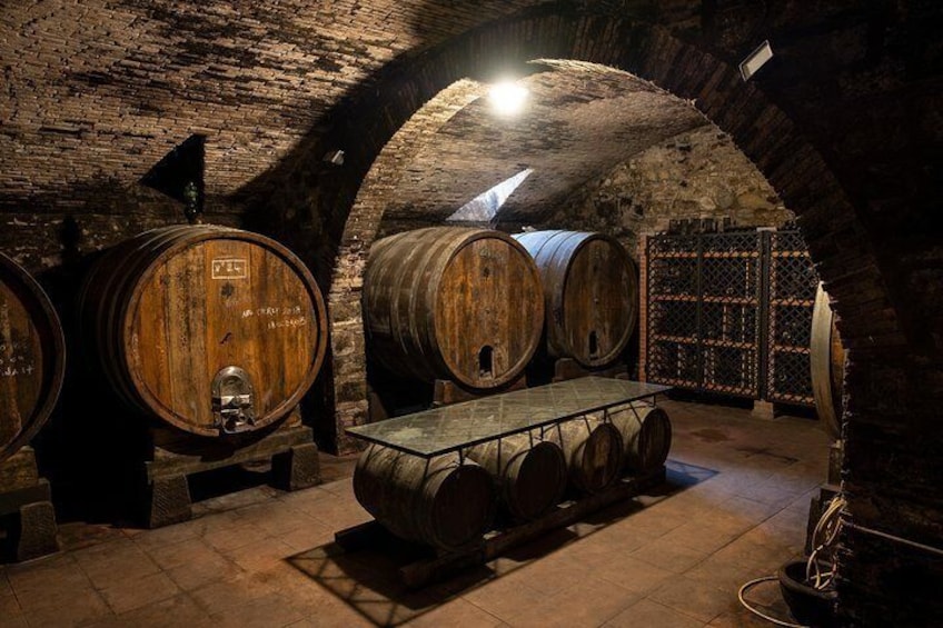 Organic Winery Tour and Tasting in Tuscany Chianti hills