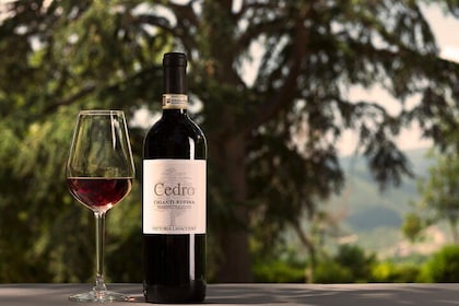 Biologische wijntour en proeverij in Chianti-heuvels in Toscane