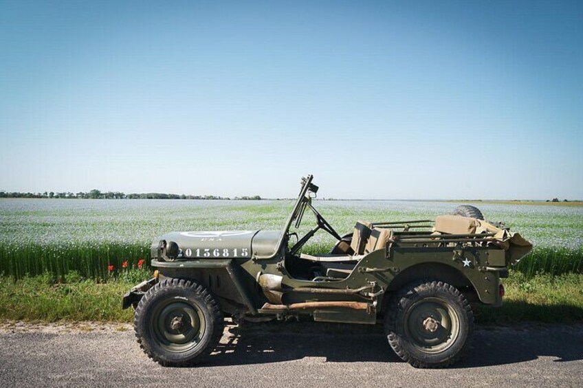 Jeep dans un champ de lin