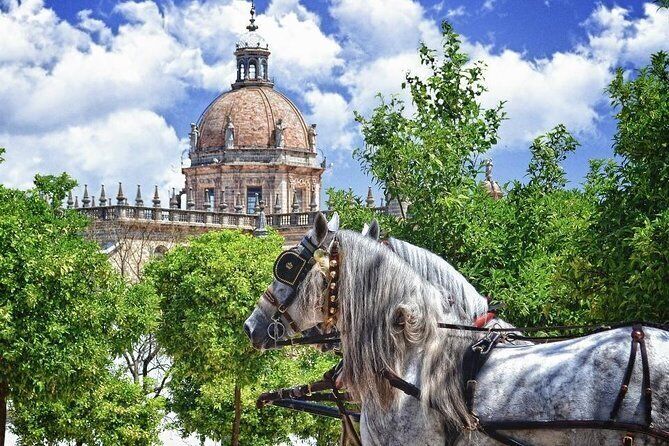 Jerez De La Frontera History And Art Walking Tour