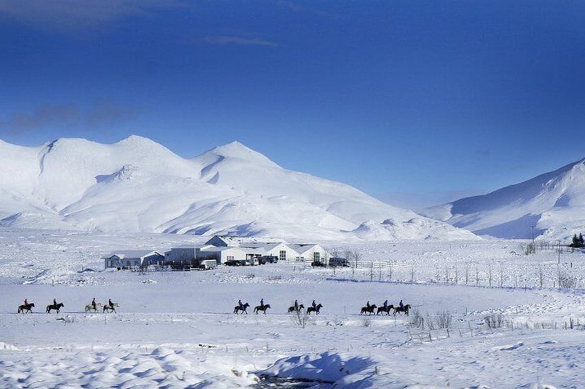 Laxnes Farm, Winter