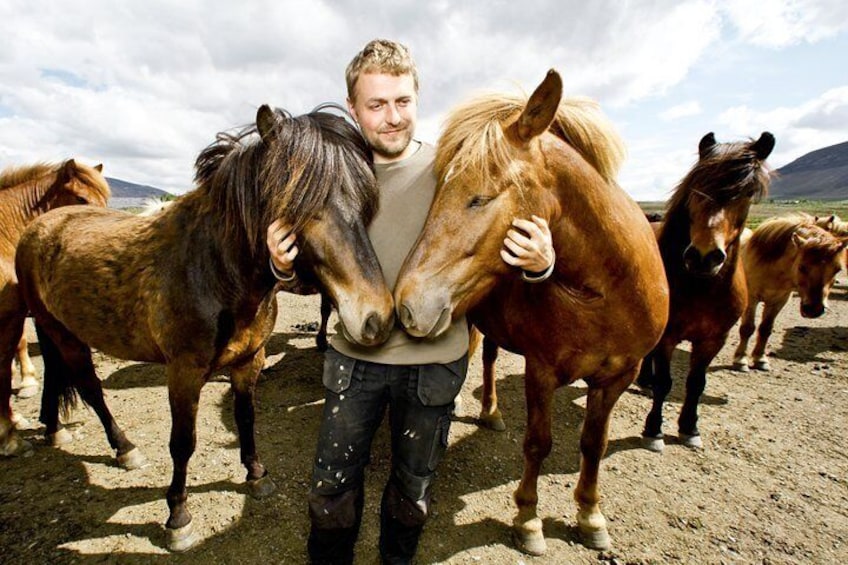 Icelandic Horseback Riding Including Pick Up from Reykjavik