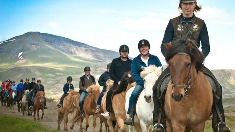 Laxnes Farm, Trailriding