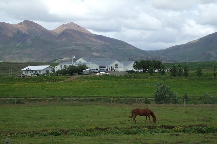 Laxnes Farm, summer