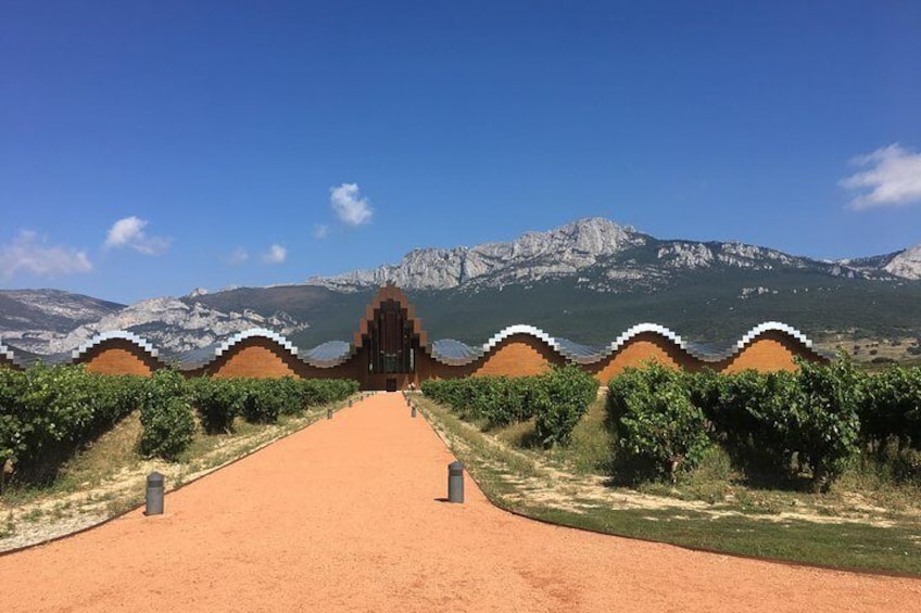 The famed winery of Ysios designed by Santiago Calatrava...