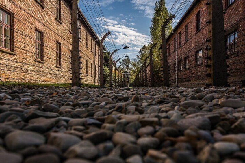 From Krakow: Auschwitz-Birkenau Guided Tour, Pickup & Transfers 