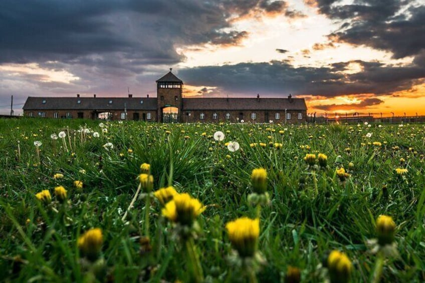 From Krakow: Auschwitz & Wieliczka Salt Mine Guided Tour
