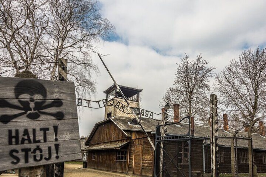 From Krakow: Auschwitz & Wieliczka Salt Mine Guided Tour