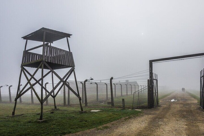 From Krakow: Auschwitz & Wieliczka Salt Mine Guided Tour