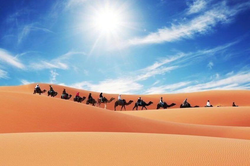 Camel trek in Merzouga