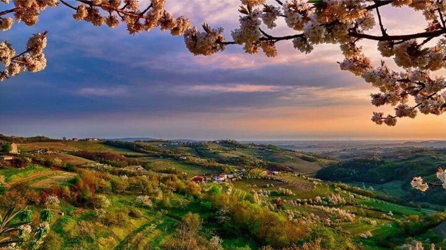 Collio