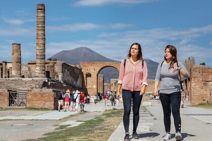 De ultimative ruiner af Pompeji og Herculaneum privat dagstur