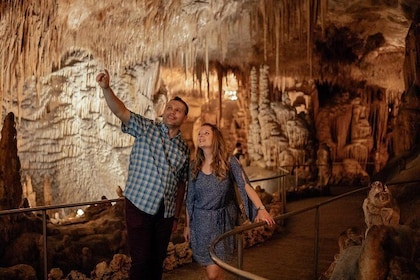 Excursión privada de un día a las cuevas del Drach en Mallorca en coche con...