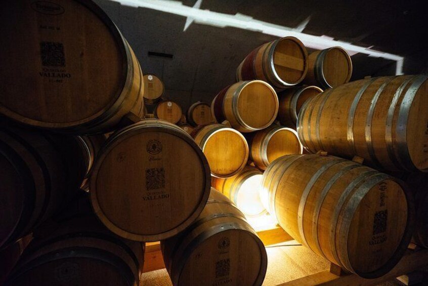 Private Day Trip Through Douro Valley with Private Local Passionate about Wine Guide