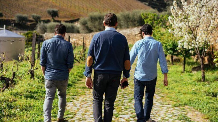 Private Day Trip Through Douro Valley with Private Local Guide and Boat Ride Included