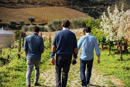 City Escape: Privat dagstur i Douro-dalen