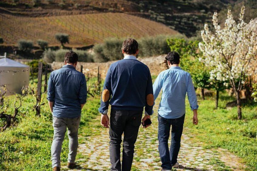 Private Day Trip Through Douro Valley with Private Local Guide and Boat Ride Included 