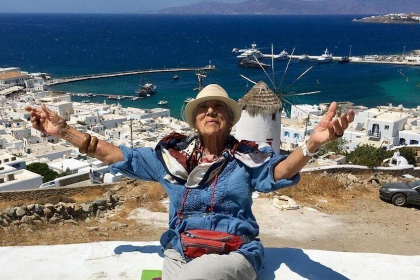 Half-Day Small-Group Guided Tour of Mykonos