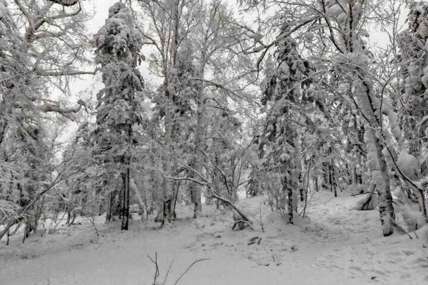 ice and snow ten mile gallery 