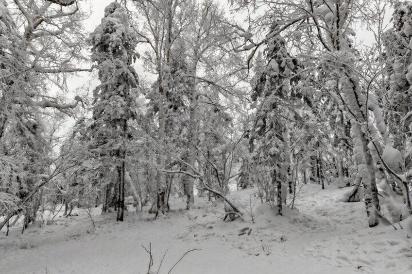 ice and snow ten mile gallery