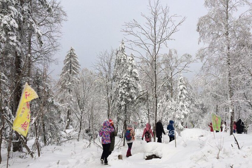 snow town mountain