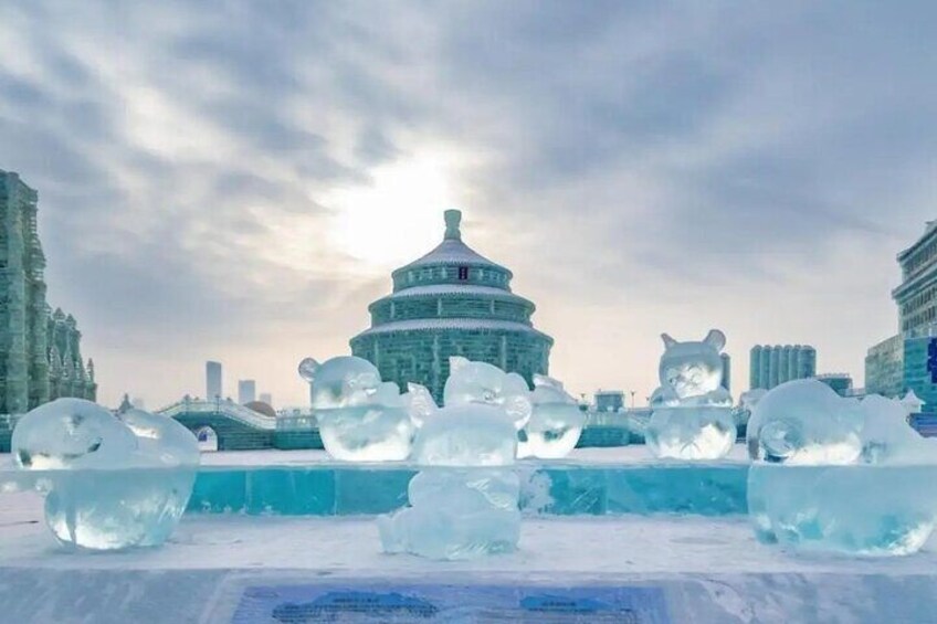 Harbin ice and snow world
