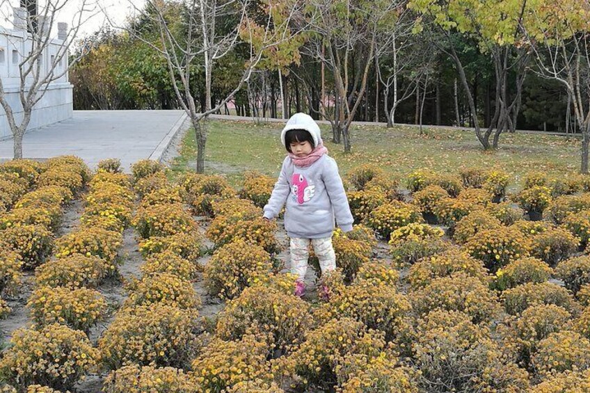 Harbin China's Pavilion Garden and Gogol Street Private Tour with Chunbing Lunch