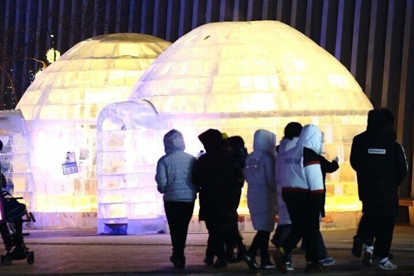  Harbin Igloos Hot Pot Private Tour