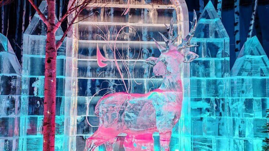 4 Hour Private Tour to Sun Island to Harbin Ice and Snow World
