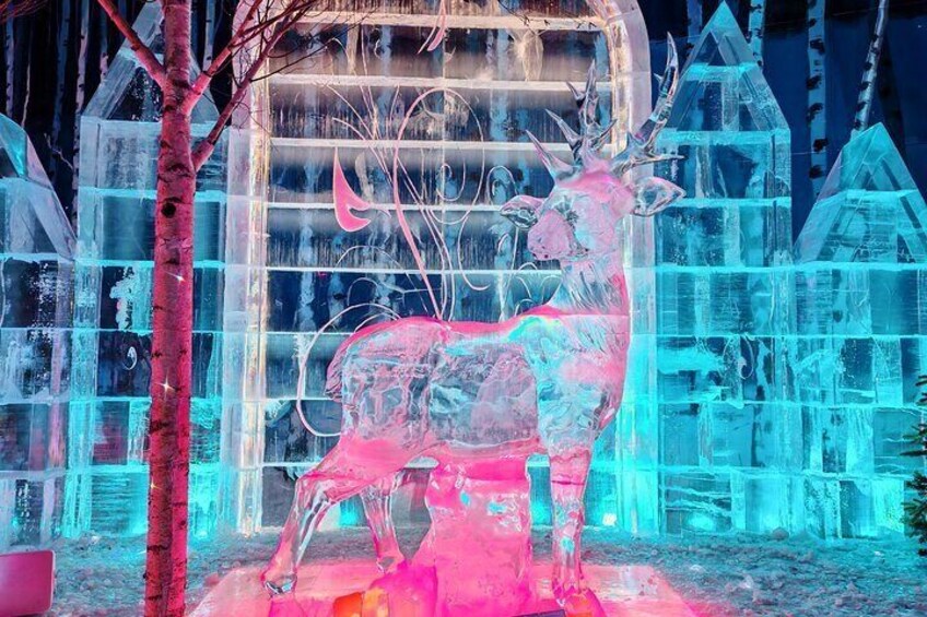 4 Hour Private Tour to Sun Island to Harbin Ice and Snow World