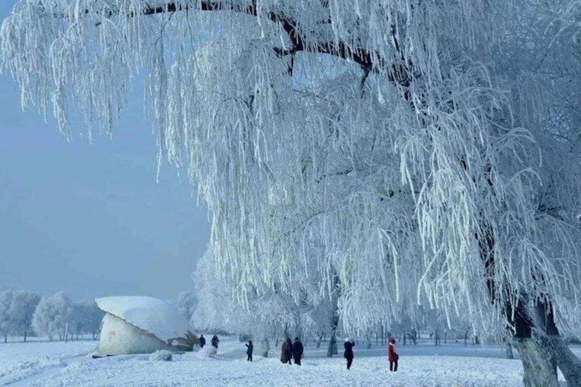 Overnight Experience at China Snow Town from Harbin with Accommodation