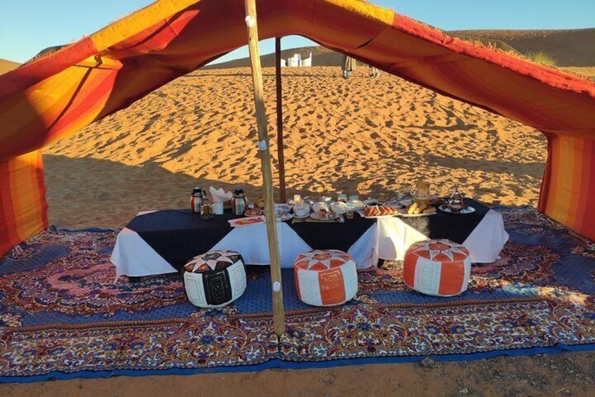 Camel Trips Luxury Camp