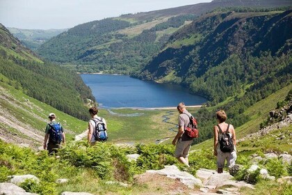 Dublin to Powerscourt, Wicklow and Glendalough Small Group Tours