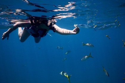 Snorkeling Tour to Culebra Island