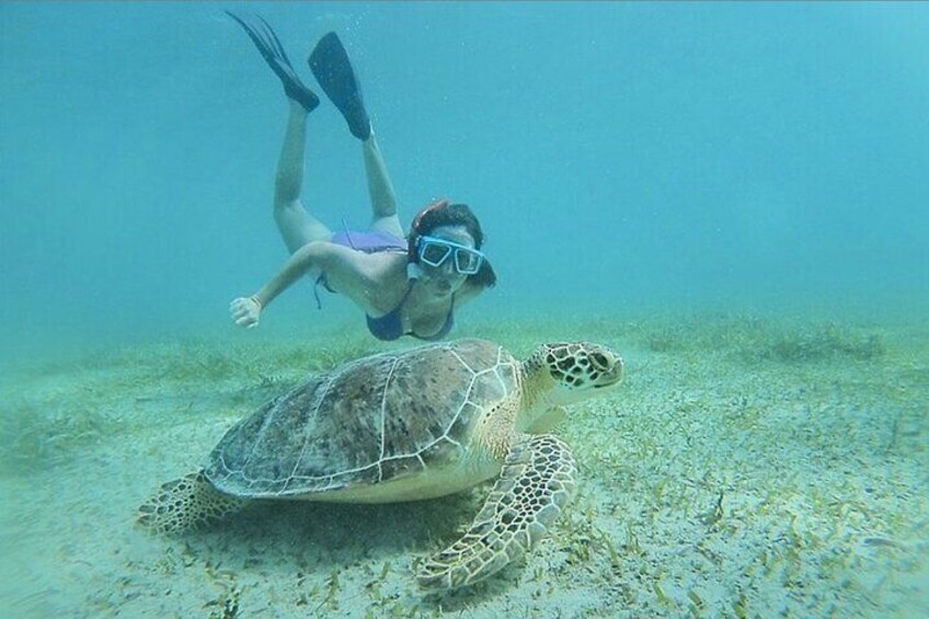 Snorkeling tour to Culebra Island