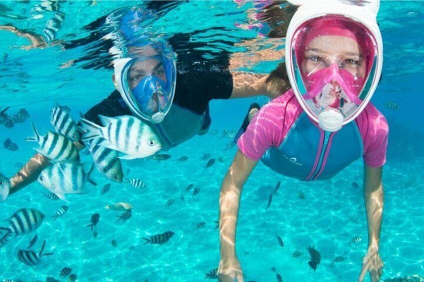 Swim & Snorkel