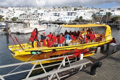 Mini-croisière avec observation des dauphins à Playa del Carmen