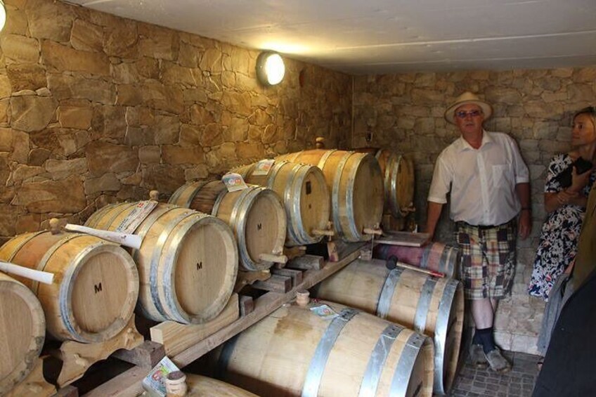 Vesterhave Vineyard and Wine shop Visit - Organically Produced