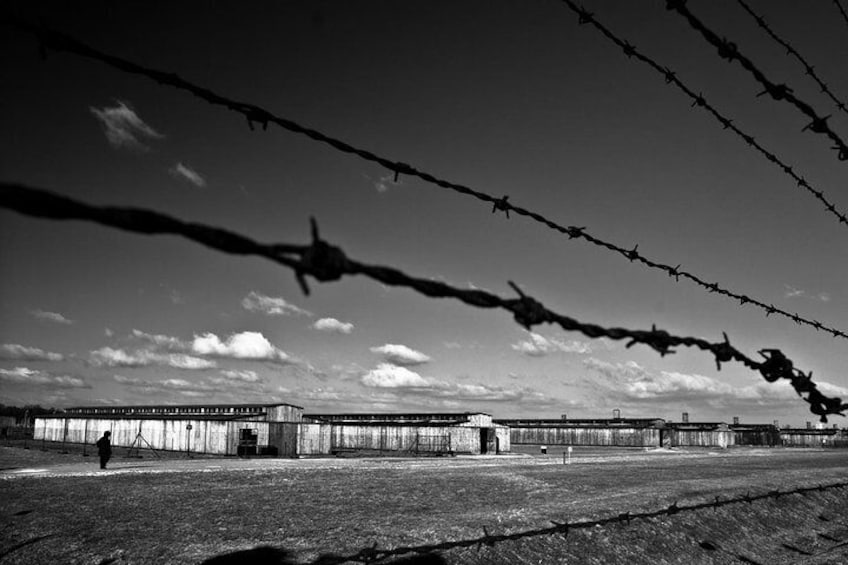 Full-Day Tour to Auschwitz-Birkenau and Wieliczka Salt Mine from Krakow