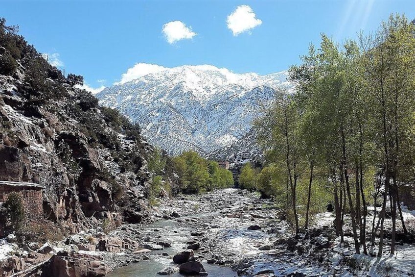 Snow-capped peaks