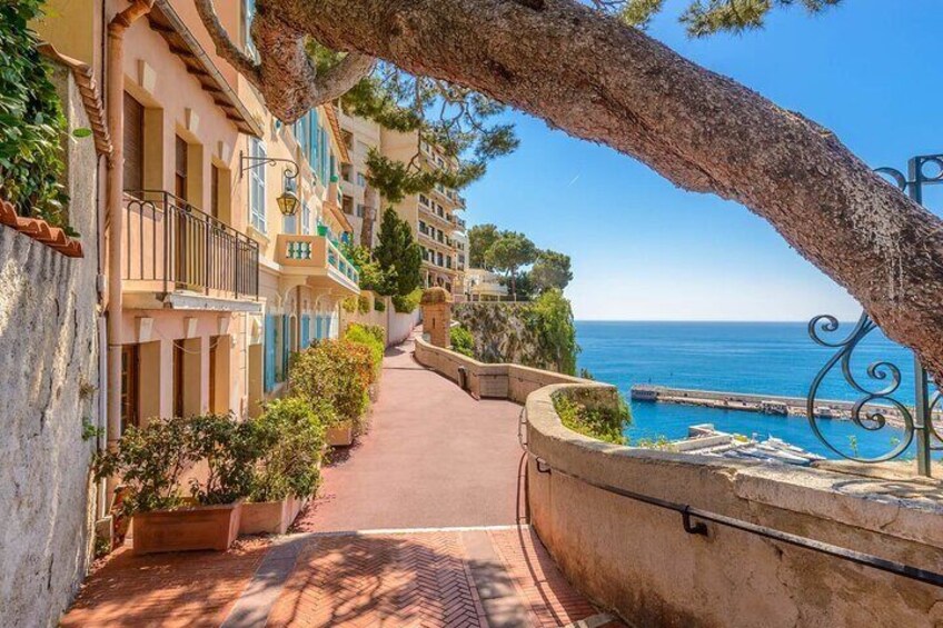 Half-Day Private Tour from Nice to Grasse Cannes and Antibes