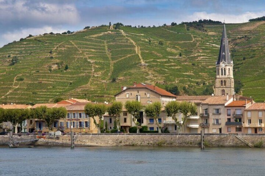Vienne Cote Rotie Wine Half-Day Tour with Tasting from Lyon