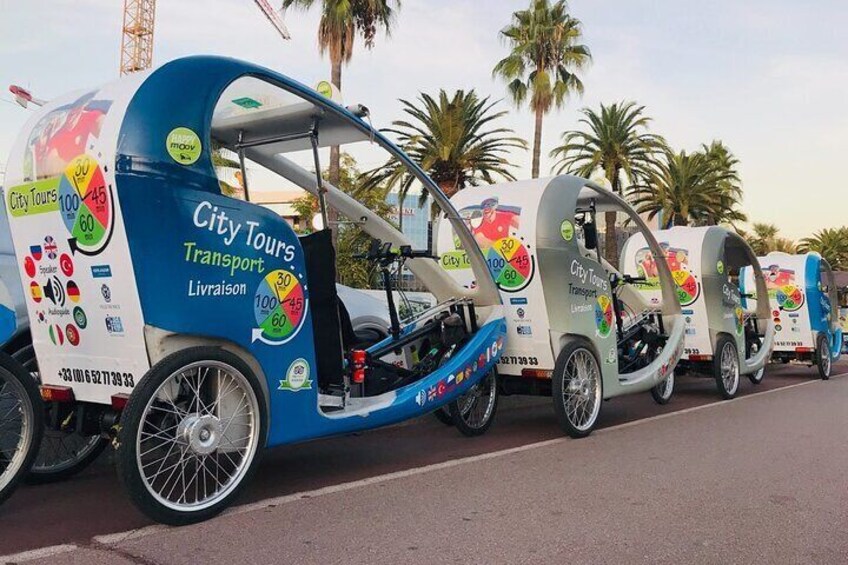 Nice: Guided Private Tour by Electric Vélotaxi