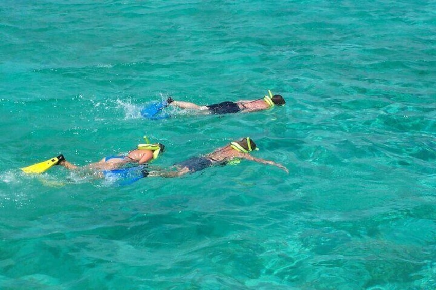 Sail and Snorkel in Cades Reef