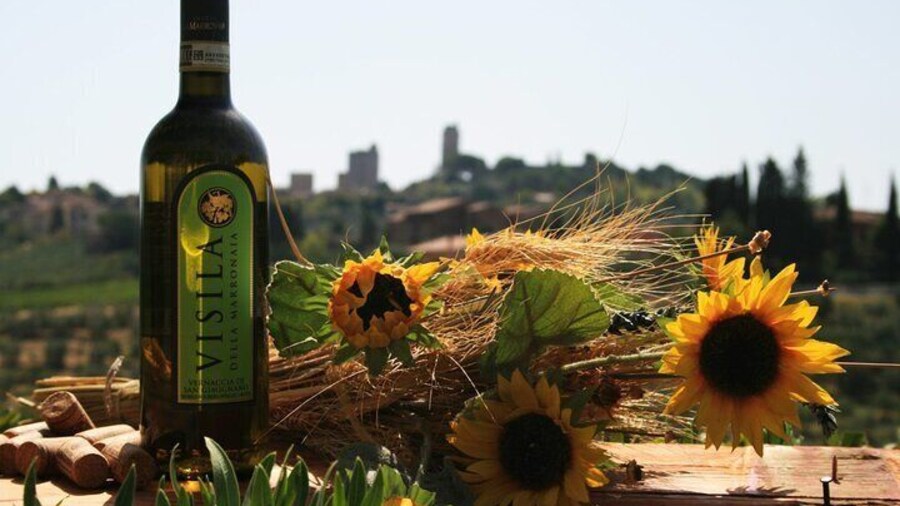 Private Tuscan meal with Wine and EVO oil tasting